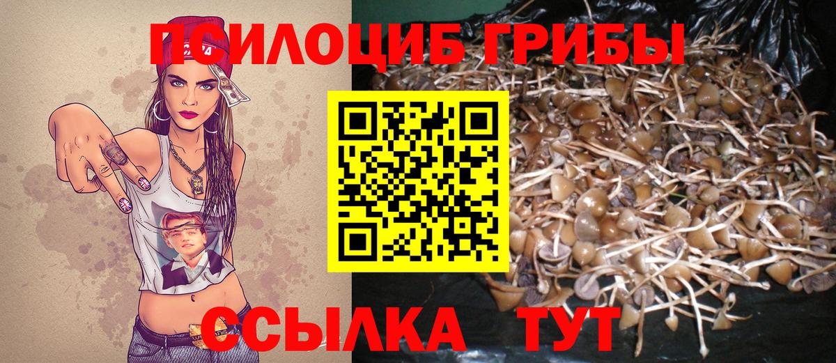 Галлюциногенные грибы Cubensis  Вход с VPN  Куйбышев 