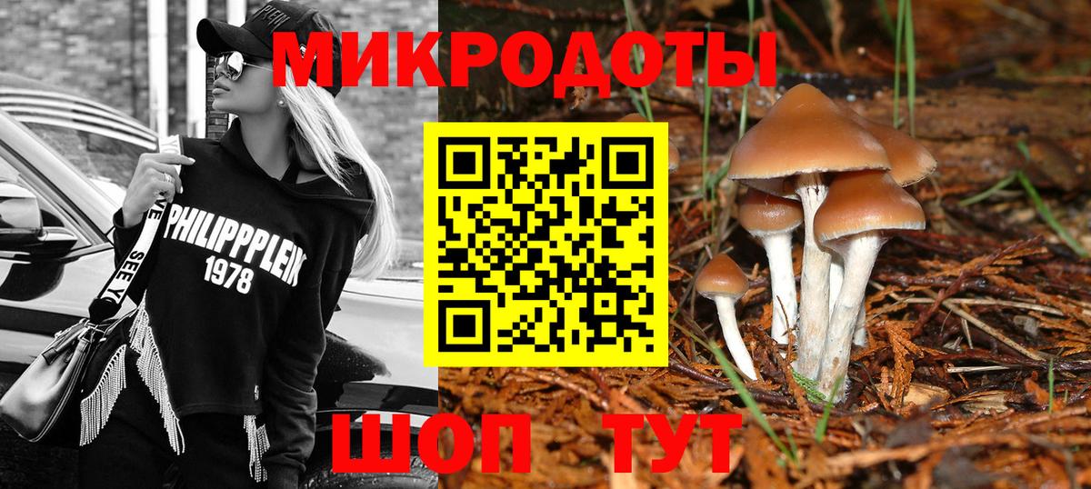 Псилоцибиновые грибы Magic Shrooms Куйбышев